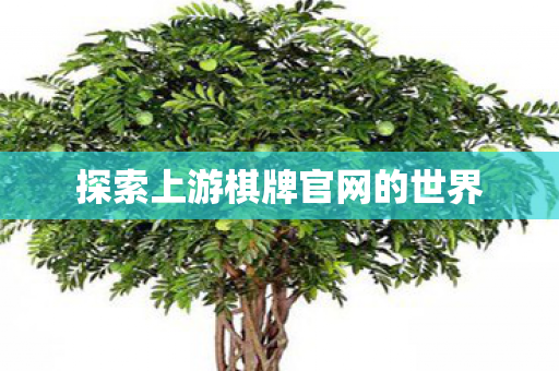 探索上游棋牌官网的世界图片