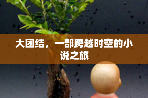 一部跨越时空的小说之旅图片