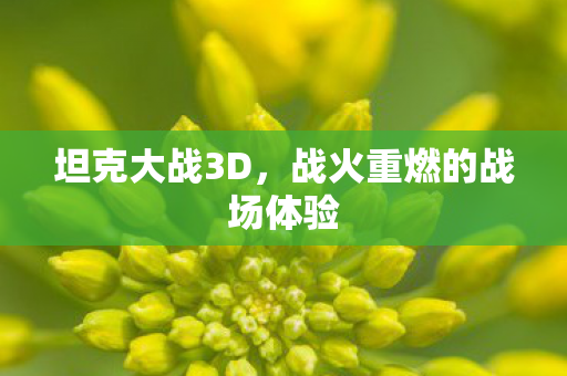 战火重燃的战场体验图片