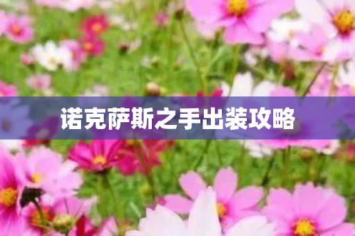 诺克萨斯之手出装攻略图片
