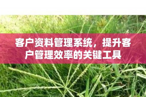 提升客户管理效率的关键工具图片