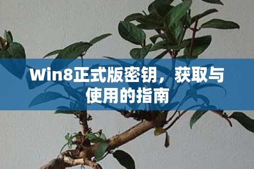 Win8正式版密钥图片