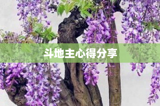 斗地主心得分享图片