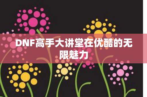 DNF高手大讲堂在优酷的无限魅力图片