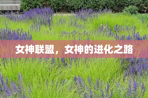 女神的进化之路图片