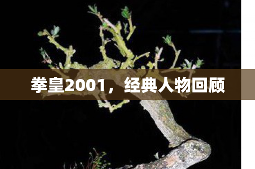 拳皇2001图片