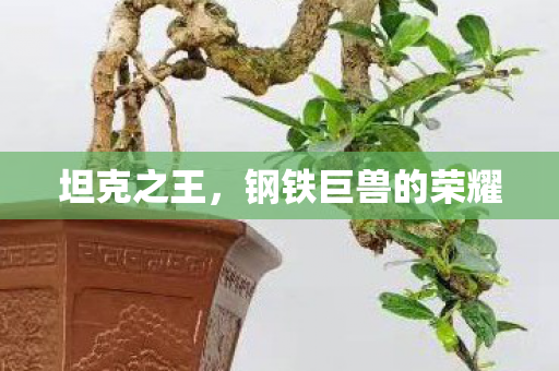 钢铁巨兽的荣耀图片