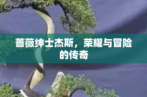 荣耀与冒险的传奇图片