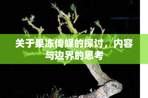 关于果冻传媒的探讨图片