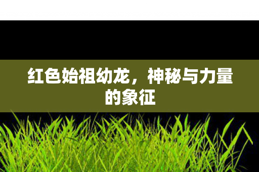 神秘与力量的象征图片
