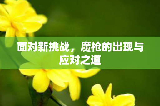 魔枪的出现与应对之道图片