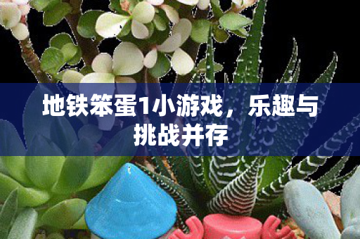 地铁笨蛋1小游戏图片