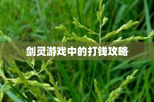 剑灵游戏中的打钱攻略图片