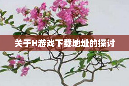 关于H游戏下载地址的探讨图片