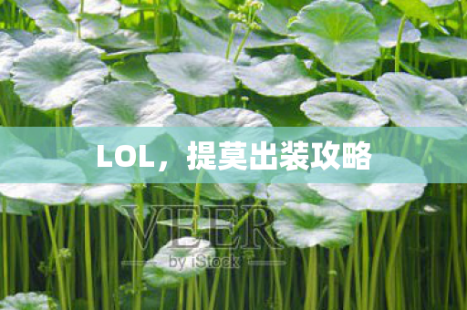 提莫出装攻略图片