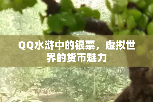 虚拟世界的货币魅力图片