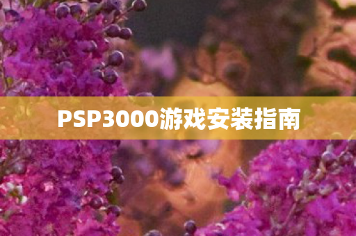PSP3000游戏安装指南图片