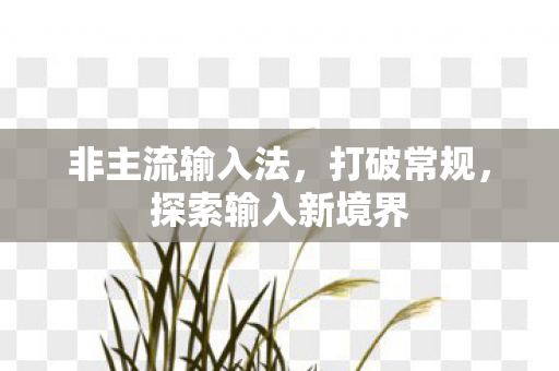 探索输入新境界图片