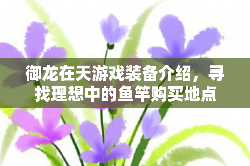 寻找理想中的鱼竿购买地点图片