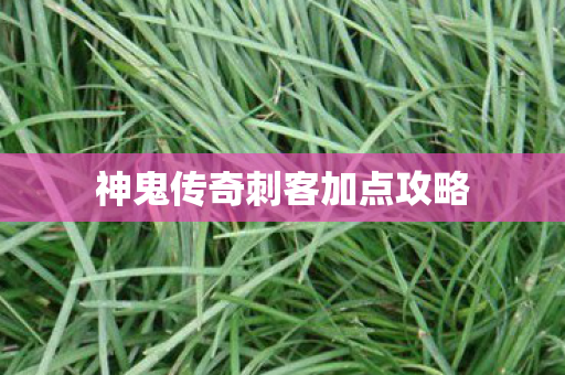 神鬼传奇刺客加点攻略图片