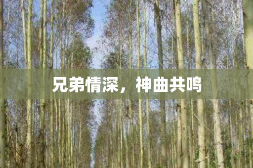 兄弟情深图片