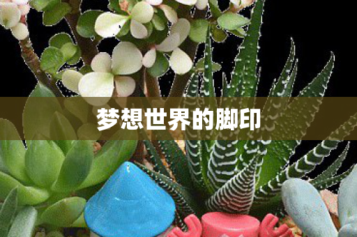 梦想世界的脚印图片