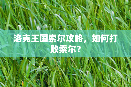 洛克王国索尔攻略图片