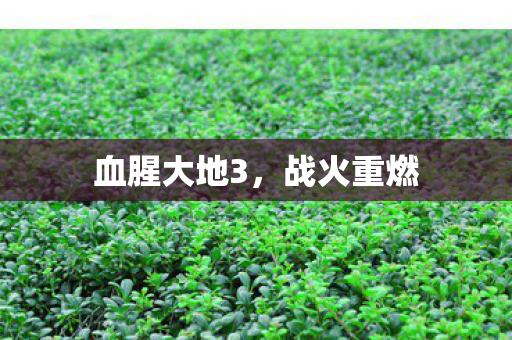 血腥大地3图片