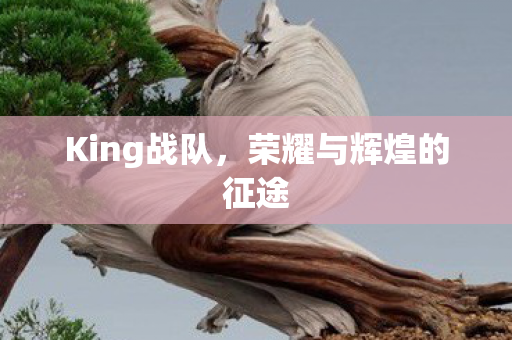 荣耀与辉煌的征途图片