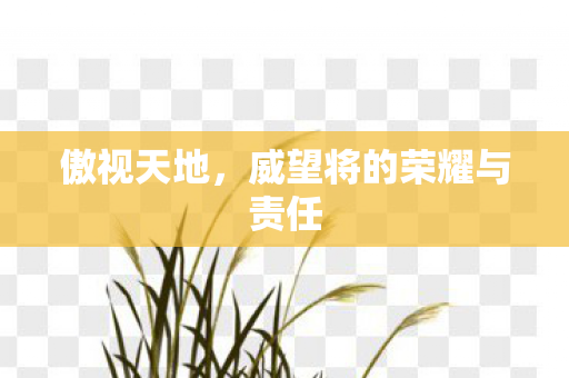 威望将的荣耀与责任图片