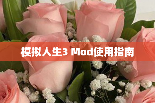 模拟人生3 Mod使用指南图片