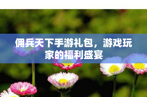 游戏玩家的福利盛宴图片