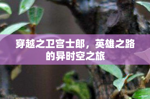 英雄之路的异时空之旅图片