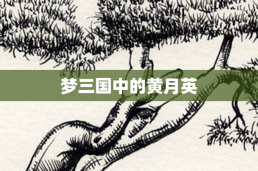 梦三国中的黄月英图片