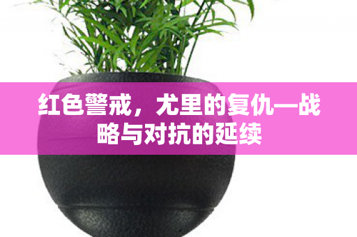 战略与对抗的延续图片