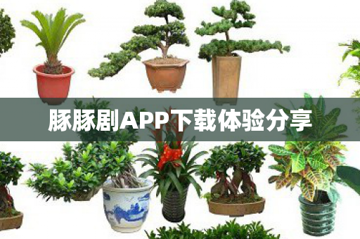 豚豚剧APP下载体验分享图片