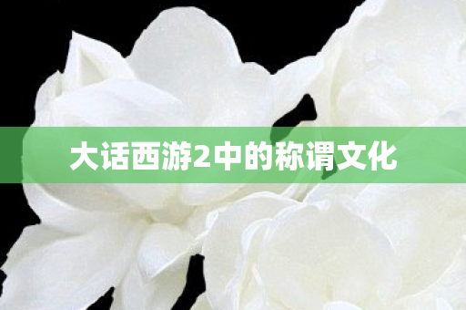 大话西游2中的称谓文化图片