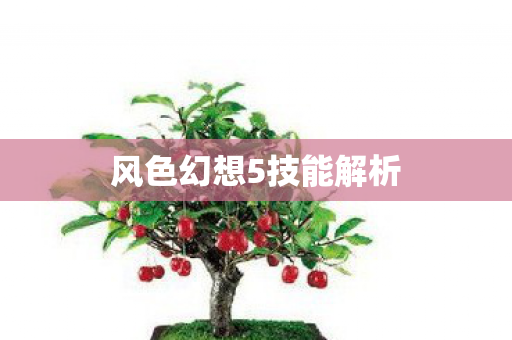 风色幻想5技能解析图片