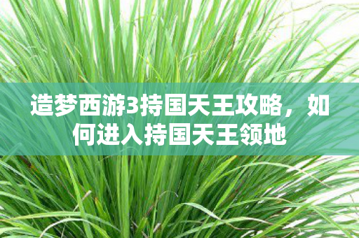 造梦西游3持国天王攻略图片