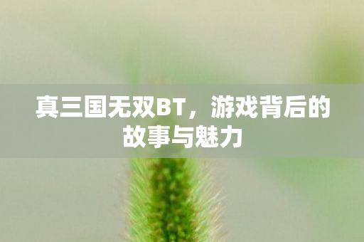 游戏背后的故事与魅力图片