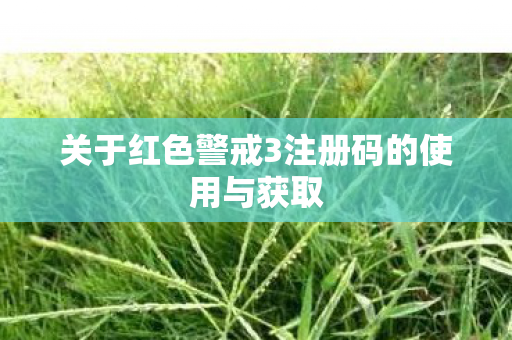 关于红色警戒3注册码的使用与获取图片