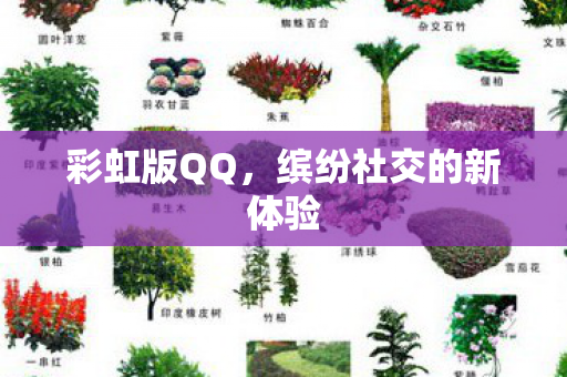 缤纷社交的新体验图片