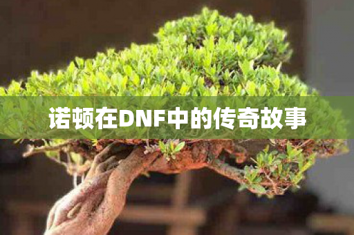 诺顿在DNF中的传奇故事图片