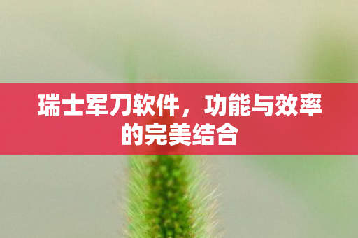 功能与效率的完美结合图片