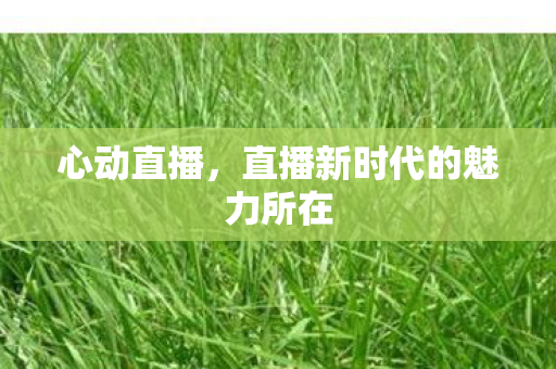 直播新时代的魅力所在图片