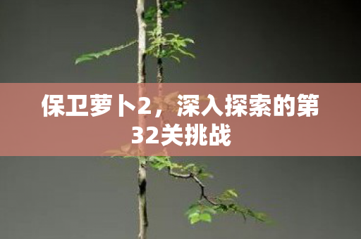 深入探索的第32关挑战图片