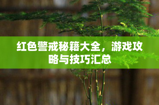游戏攻略与技巧汇总图片