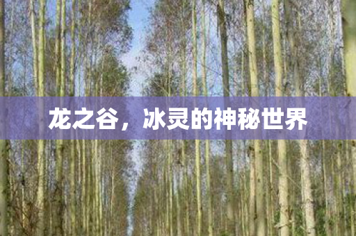 冰灵的神秘世界图片