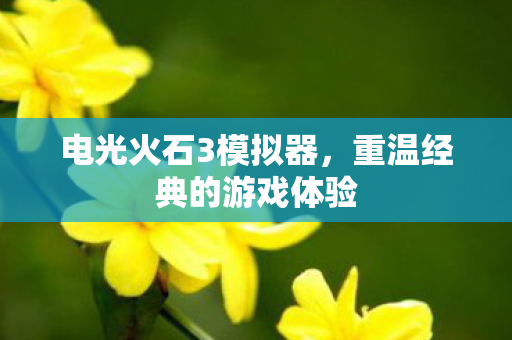 重温经典的游戏体验图片