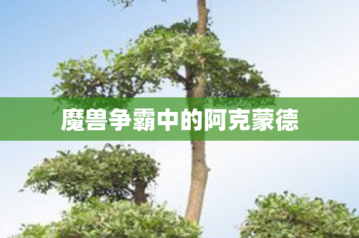 魔兽争霸中的阿克蒙德图片